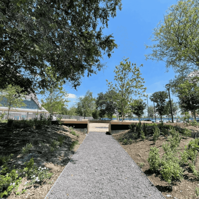 Areas Verdes - Plazoleta TEC (5)